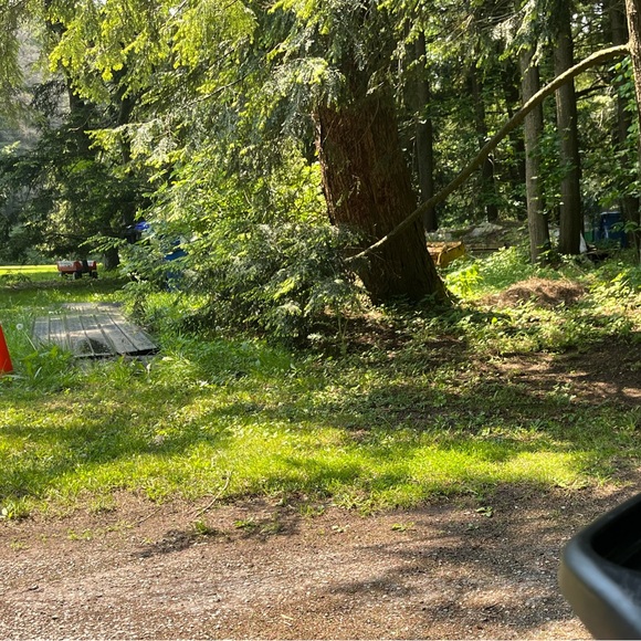 Meet your Posher, Raquel - Picture 1 of 1